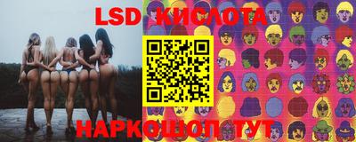 спайс Будённовск