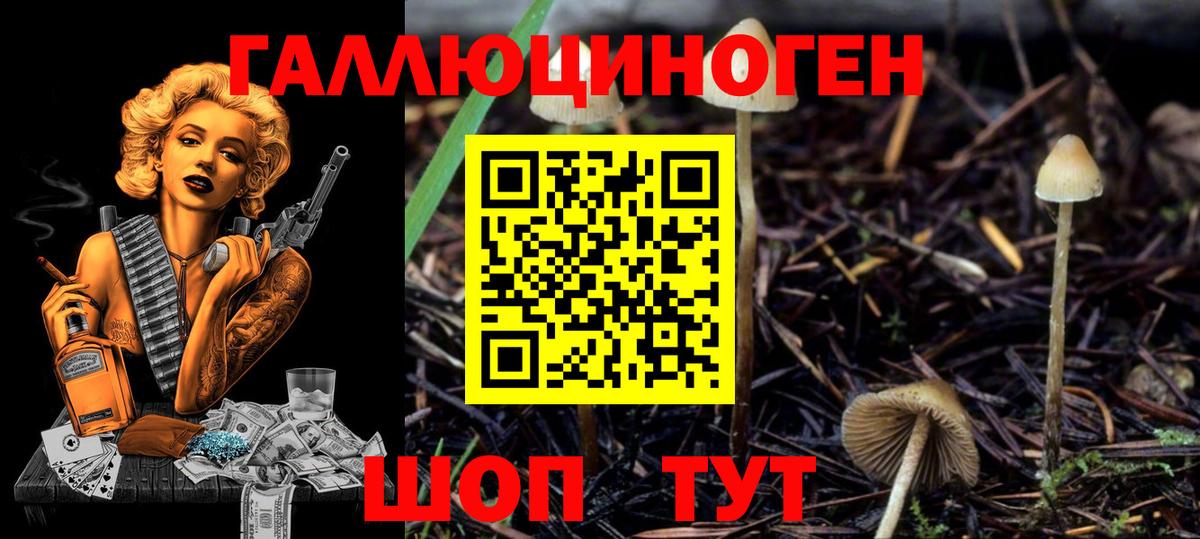 Старый Оскол  Галлюциногенные грибы Cubensis  Псилоцибиновые грибы прущие грибы  Вход с VPN 